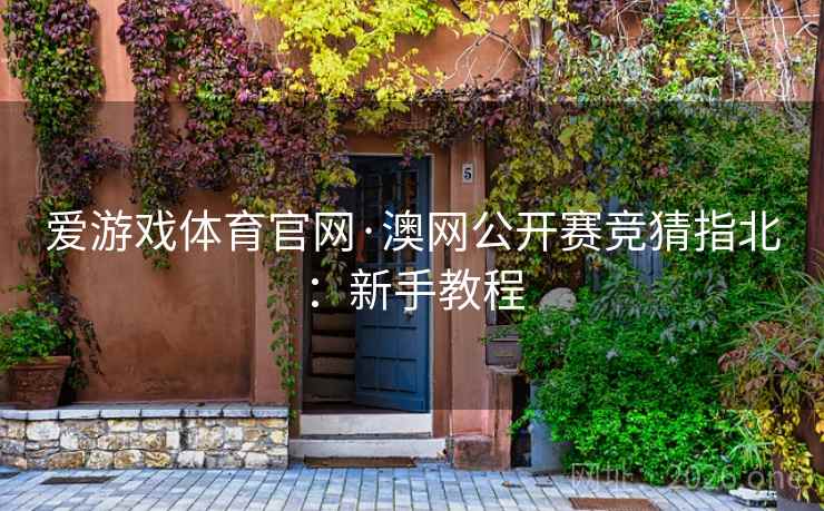 爱游戏体育官网·澳网公开赛竞猜指北：新手教程  第2张