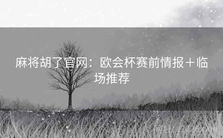 麻将胡了官网：欧会杯赛前情报＋临场推荐  第2张