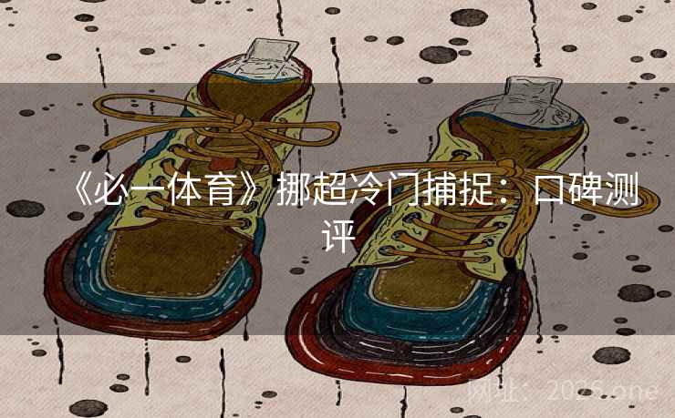 《必一体育》挪超冷门捕捉：口碑测评  第1张
