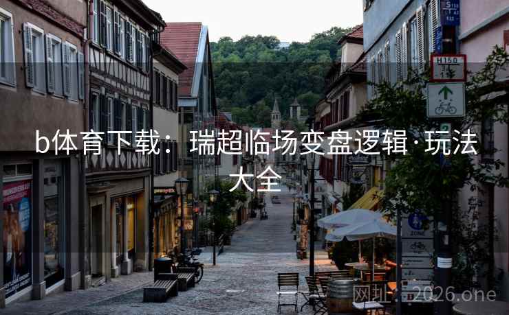 b体育下载：瑞超临场变盘逻辑·玩法大全  第1张