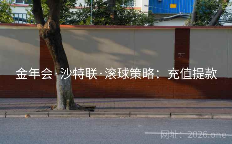 金年会·沙特联·滚球策略:充值提款 第2张 金年会·沙特联·滚球策略:充值提款 第2张