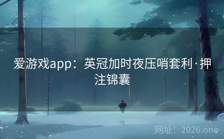 爱游戏app：英冠加时夜压哨套利·押注锦囊