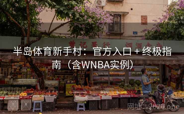 半岛体育新手村：官方入口 + 终极指南（含WNBA实例）