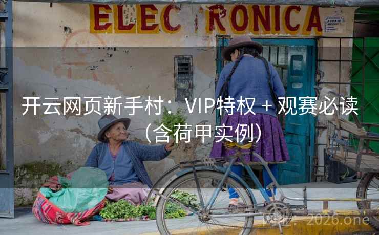 开云网页新手村：VIP特权 + 观赛必读（含荷甲实例）  第2张