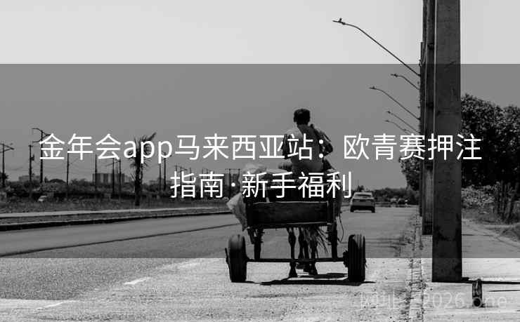 金年会app马来西亚站：欧青赛押注指南·新手福利  第2张